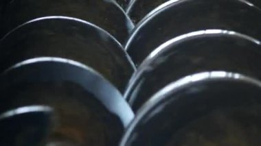 Kolza yağı, kolza tohumu yağlı tohum işleme, kolza tohumu petrol arzı üretimi tohum soğuk presleme basın, kolza, yakın çekim, freze