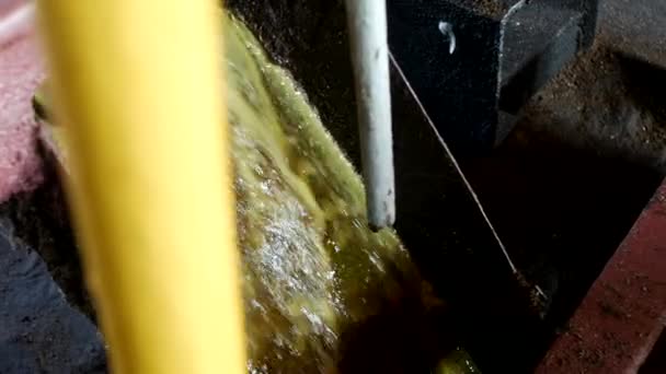 Produção de óleo de colza, saída de óleo de colza da prensa para o tanque de armazenamento, close-up. óleo de colza — Vídeo de Stock