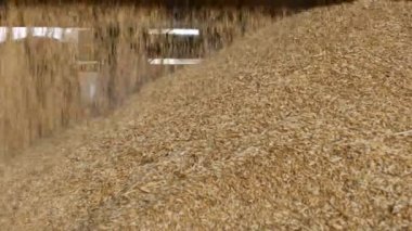 Mısır ya da çavdar Asansör, tarım içine taneleri araba kamyon gemi