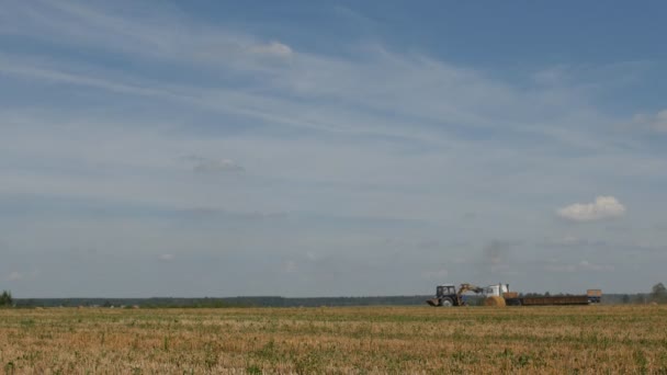 Agricoltura, un trattore sta raccogliendo sul campo della fattoria vicino al ranch — Video Stock