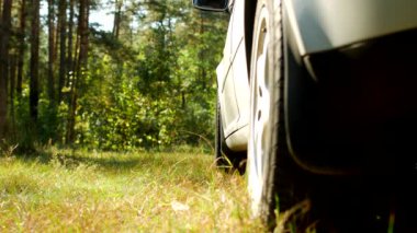 bir araba bir adamdan ot, Doğa, yakın çekim, kirliliği çöpün doğa'nın çöp, çöp ve bir araba, plastik bir torba dışarı atar