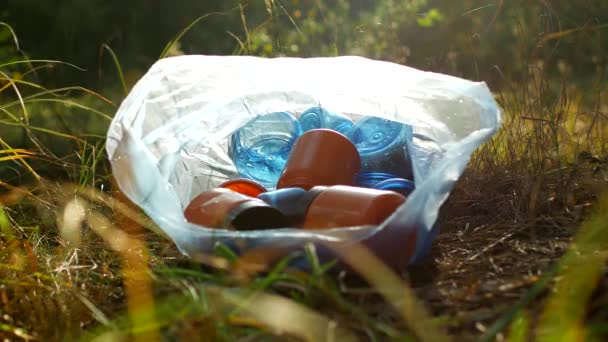 Immondizia Sacchetto Plastica Bottiglie Plastica Trovano Sull Erba Sulla Natura — Video Stock