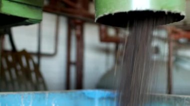Üretim kolza tohumu yağı, kolza tohumu yağkökü işleme, ezilmiş Kolza yağı tohum sıcak presleme makinesi, sanayi, kolza için besleme