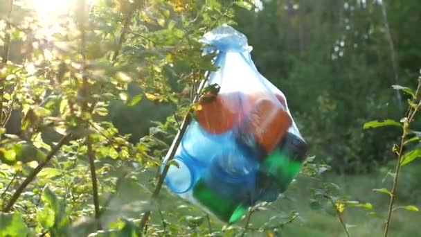 Пакет пластикових сміття, що звисає в лісі на гілці дерева, крупним планом, забруднення природи сміттям, сонячно — стокове відео