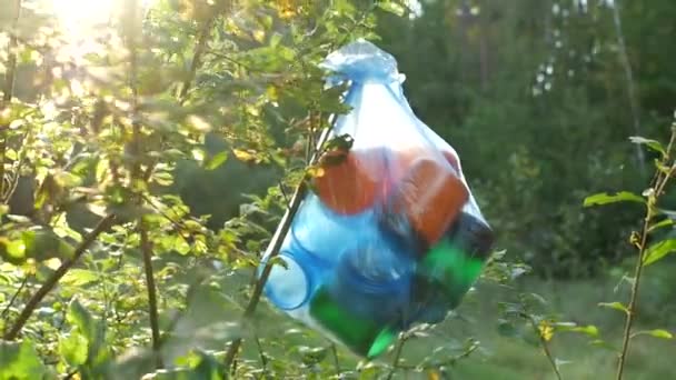 Un paquete de basura plástica colgando en el bosque en una rama de árbol, primer plano, contaminación de la naturaleza por la basura, soleado — Vídeos de Stock