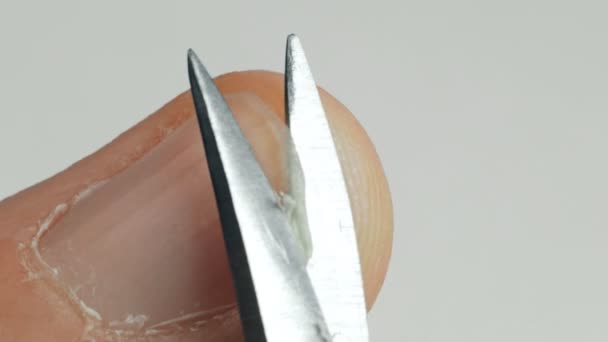 Makro männliche Nagelpflege an den Händen Finger — Stockvideo