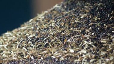 Üretim Kolza yağı, yağlı tohum kolza tohumu işlenmesi, kolza tohumu yağlı tohumlar için basın, yakın çekim, geri dönüşüm tuşuna basarak soğuk temini