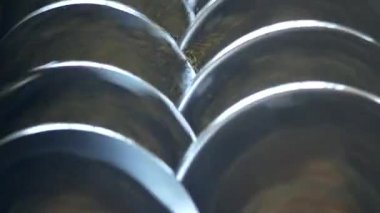 Kolza yağı, kolza tohumu yağlı tohum işleme, kolza tohumu petrol arzı üretimi tohum soğuk presleme basın, kolza, yakın çekim, freze