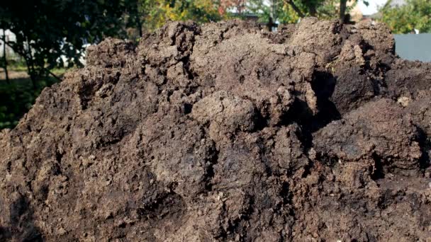 A large pile of manure for fertilizing land in the country, farm, agriculture, dung — Stock Video
