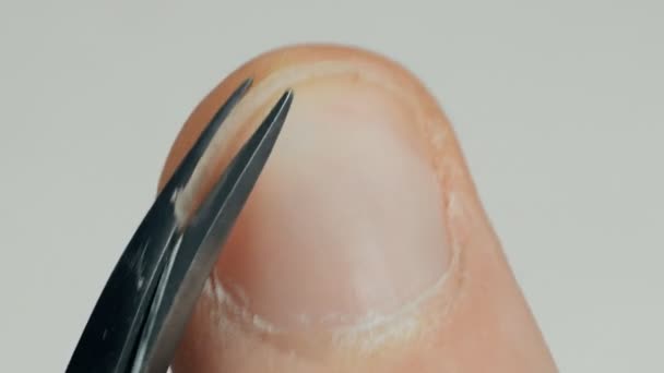 Macro male nail grooming on hands finger — Stock Video