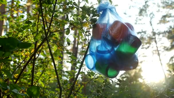 A package of plastic trash hanging in the woods on a tree branch, close-up, nature pollution by garbage, sunny, litter — Stock Video