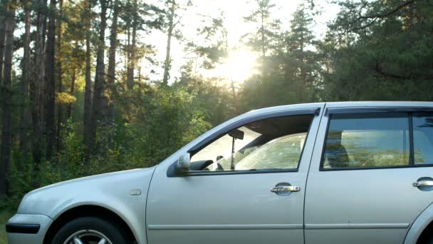 The car staggers in the forest under the influence of sexual intercourse, sex in the car — Stock Video