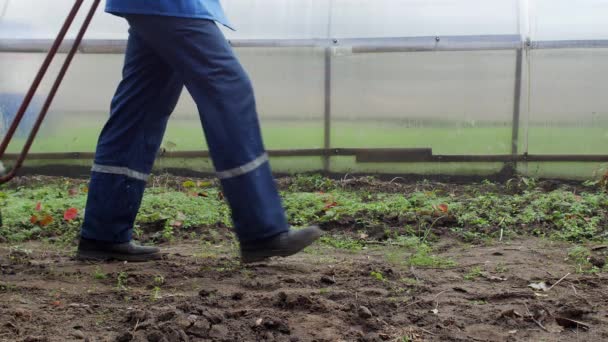 Ein Mann schüttet einen Gartenkarren mit Gülle aus, um den Boden im Garten zu düngen, — Stockvideo