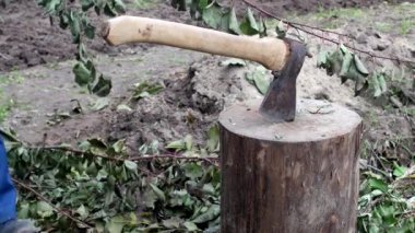 bir adam bir balta ile dalları keser, çalışma kulübemde, yakın çekim, dalları, el emeği, çelik kesme