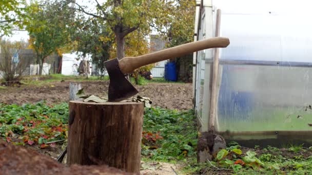 A man cuts with an ax the branches cut from a garden tree at their summer cottage, close-up, wood — Stock Video