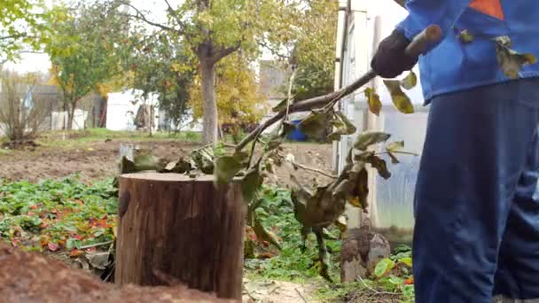 Un uomo taglia con un'ascia i rami tagliati da un albero da giardino al loro cottage estivo, primo piano, legno — Video Stock