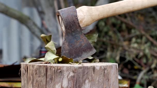 Un hombre corta con un hacha las ramas cortadas de un árbol de jardín en su casa de campo de verano, primer plano, hacha — Vídeo de stock