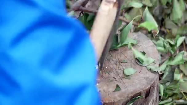 Un hombre corta ramas con un hacha, trabajo en la dacha, primer plano, corte de ramas, mano de obra, acero — Vídeos de Stock