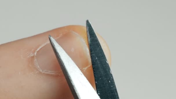 Macro mannelijke nagel verzorging op handen vinger — Stockvideo