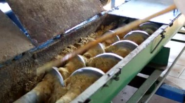Kolza tohumu petrol üretimini, yağlı tohum kolza tohumu, kolza tohumu yağlı tohumlar için tuşlarına basın, kolza, işçi soğuk arz işlenmesi tecavüz, sanayi yapışmasını milleri temizler.