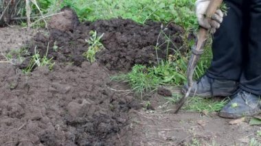 Kadın Bahçe, Bahçe, yakın çekim, açık toprağa digs