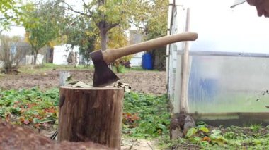 dalları Bahçe ağaçtan kesim yazlık, yakın çekim, ahşap bir balta ile bir adam keser