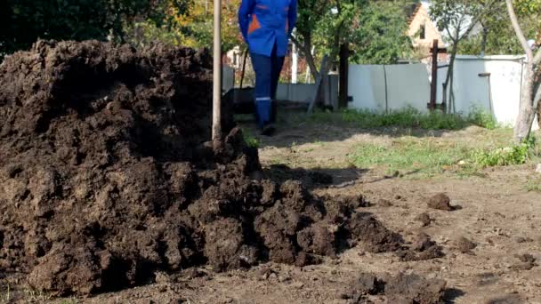 Un uomo porta un carrello da giardino con letame per il trasporto intorno al giardino, fertilizzare il terreno, all'aperto, sterco — Video Stock