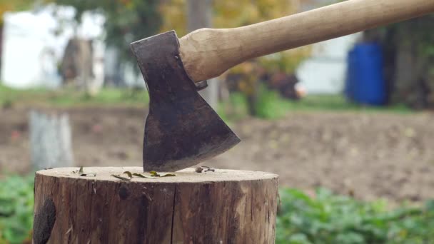 Un hombre clava un hacha en un bloque de madera, primer plano, leña — Vídeo de stock