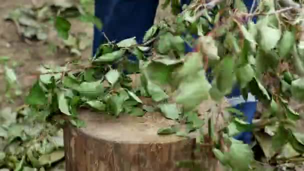 Człowiek tnie gałęzie z siekierą, Pracujesz w daczy, zbliżenie, cięcia gałęzi, praca fizyczna, stal — Wideo stockowe