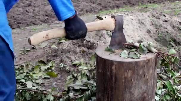 En man klipper grenar med en yxa, arbeta på datja, närbild, kapning av grenar, kroppsarbete, stål — Stockvideo