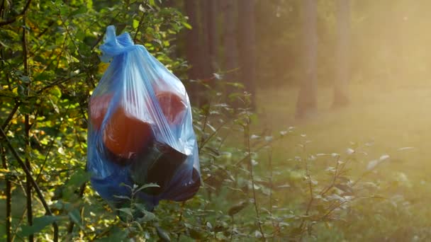 Пакет пластикового мусора висит в лесу на ветке дерева, крупным планом, загрязнение природы мусором, солнечный, мусор — стоковое видео