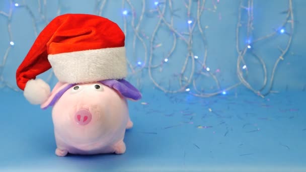 Soft toy pink pig in a red Santa Claus hat on a blue background, New Year lights and tinsel, the year of the pig 2019, new year, Christmas, slow-mo — Stock Video