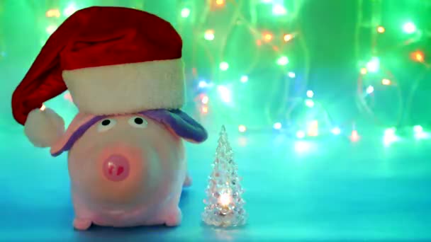 Giocattolo di peluche di maiale rosa in un cappello rosso di Babbo Natale su sfondo blu, con un albero di Natale incandescente giocattolo, luci di Natale, il nuovo anno 2019, l'anno del maiale, Natale, spazio di copia — Video Stock