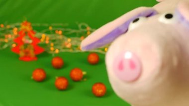Domuzcuk veya kabakulak kamera önünde, yeni yıl 2019 ve Noel, yeşil Chroma key tırmanıyor