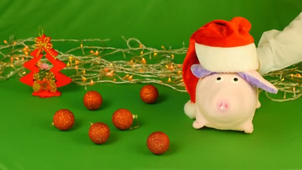 Свинья или свинка в шапке Санта-Клауса, Новый 2019 год и Рождество, на зеленый ключ Chroma — стоковое видео
