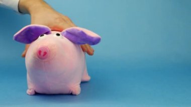 Yeni yıl domuz yürür ve oynama mavi bir arka plan üzerinde bir adamın elinde bir gömlek, yeni yıl 2019, Noel, kutlama