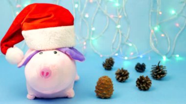 Bir pembe Noel şapka arka planda kamera bakıyor kırmızı bir Noel Baba'ya domuzsun Noel ışıkları, mavi bir arka plan, Noel koniler, domuz, Noel, kopya alanı yeni yıl