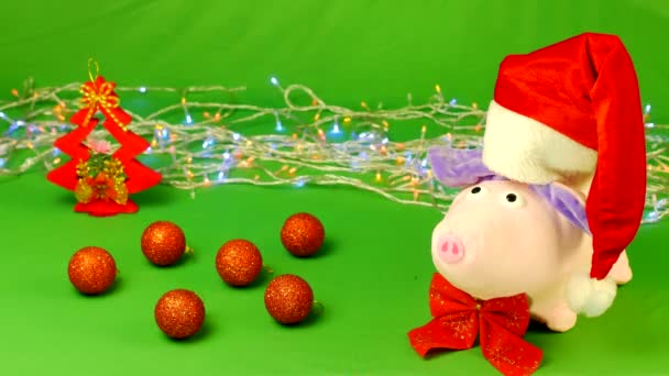 Plyšová hračka prase v Santa Claus čepice stojí na hromakey, dekorace, Vánoce, slow-mo — Stock video