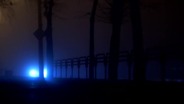 Strada Notturna Nella Nebbia Cui Guidano Auto Una Persona Cammina — Video Stock