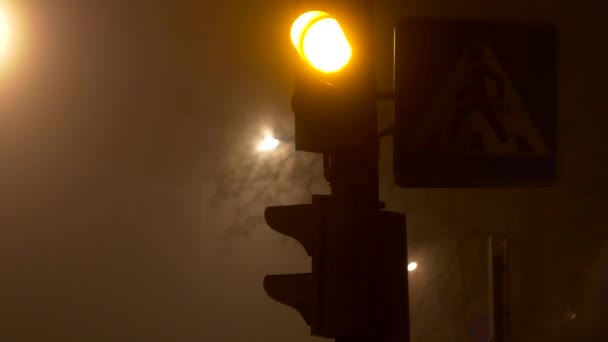 Gece yaya geçidi şehrin trafik güvenliği, sis duman — Stok video