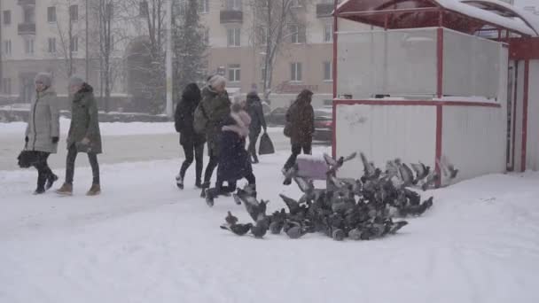 Бобруйськ, Білорусь - 14 січня 2019: Взимку погода дівчата на автобусній зупинці лякає летять голубів, повільний МО — стокове відео