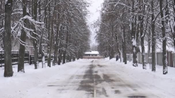 Estrada de inverno nas laterais das quais as árvores crescem, fundo, espaço de cópia, câmera lenta, ao ar livre — Vídeo de Stock