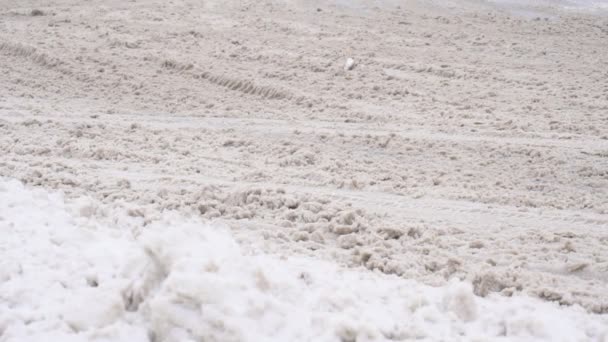 Дорожные реагенты на зимней дороге, автомобили, медленный мо, лед — стоковое видео