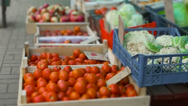 Овощи в коробках на уличном рынке или на восточном базаре в холодную погоду — стоковое видео