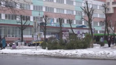 Bobruisk, Belarus - 29 Aralık 2019: Noel ağacı ın Bazaarı, yeni yıl, kış için ağaçlar satışı