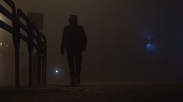 Silueta del hombre con chaqueta camina a lo largo de un camino en la niebla o niebla por la noche en cámara lenta — Vídeo de stock