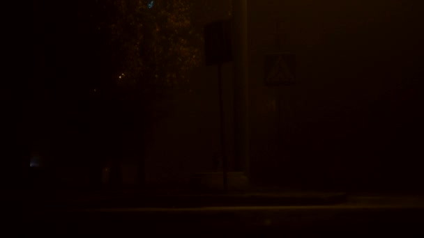 Attraversamento notturno nella nebbia della città, sicurezza stradale — Video Stock