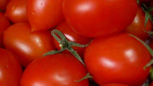 Pozadí z čerstvé červené rajče, detail, Cherry rajčata, zelenina, 4k — Stock video