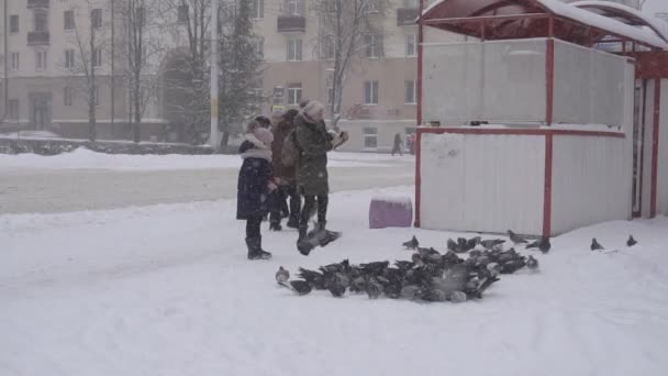 Bobruisk, Bělorusko - 14. ledna 2019: Zimní počasí dívka na autobusové zastávce děsí hejna drůbeže holubů, pomalé mo — Stock video