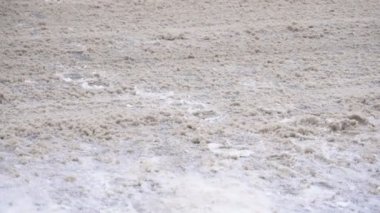 Araç sürücü kış yolda yol tuz ve Kimyasalları, ağır çekim, kimyasallar ile serpilir